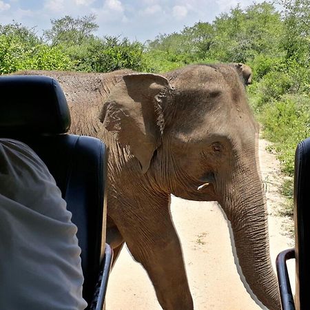 ホテル Big Game Udawalawe - By Eco Team エクステリア 写真