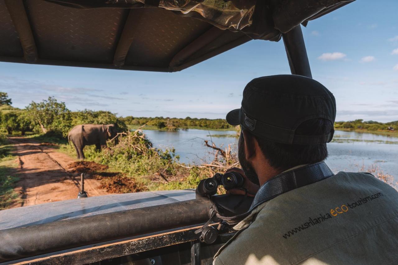 ホテル Big Game Udawalawe - By Eco Team エクステリア 写真