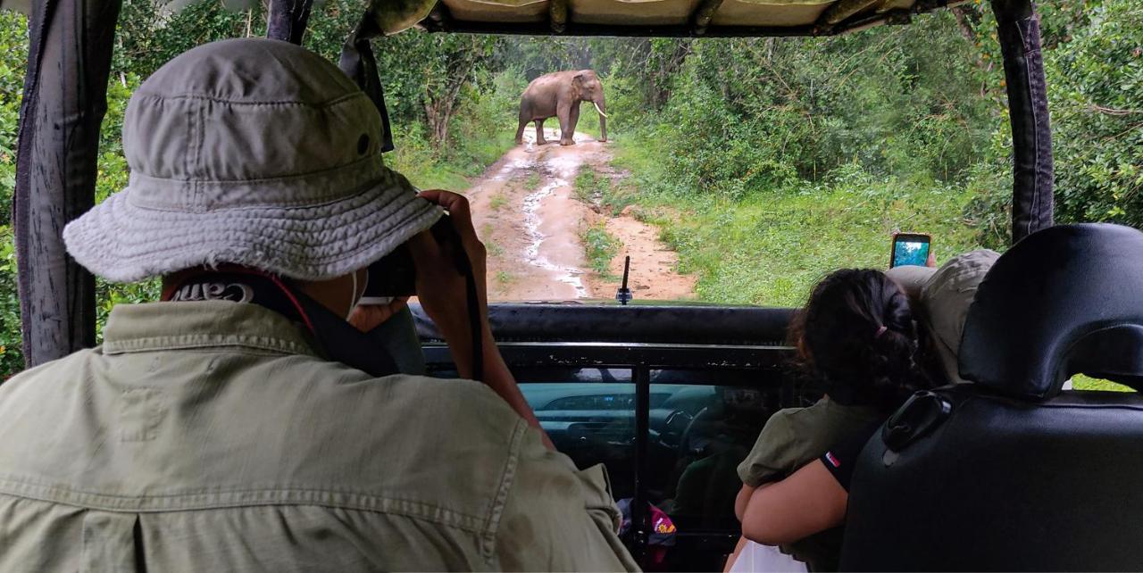 ホテル Big Game Udawalawe - By Eco Team エクステリア 写真